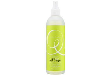 DevaCurl Mist-er Right