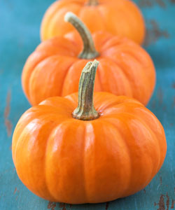 I'm Obsessed With Pumpkin And You Should Be, Too