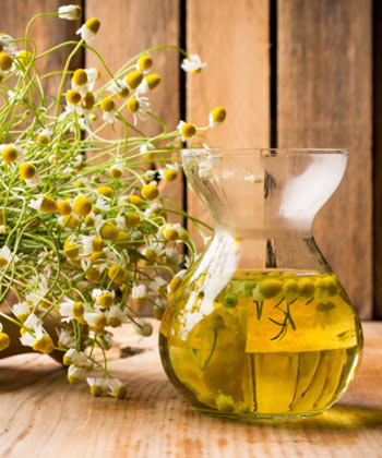 chamomile chamomile tea