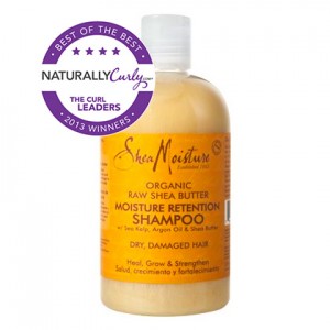 Best of the Best Curly Hair Products of 2013
