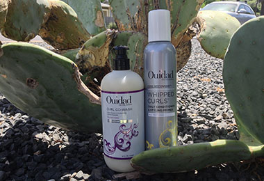 Daily Conditioners vs. Co-Wash Conditioners