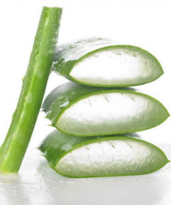 2 Aloe & ACV Recipes That Add Sheen