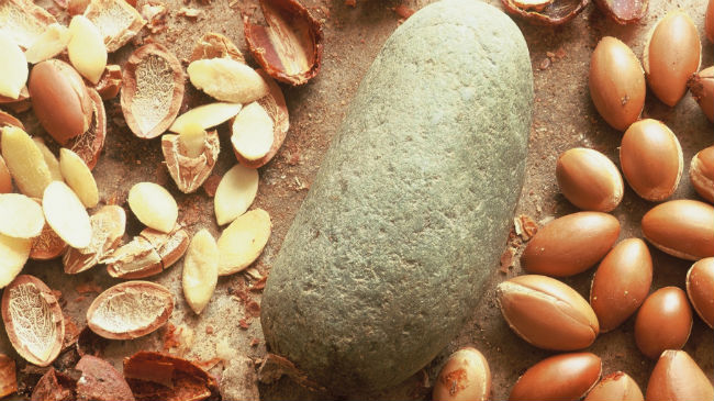 argan oil 650x365