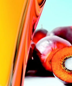 4 Oils (That Aren't Coconut) to Get You Through Winter