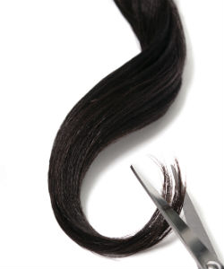 You've Been Asking for a Trim, But You Really Want a "Dusting"