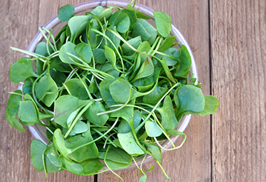 Pop Quiz: What's Good on Salad And On Hair? (Hint: It's Not Kale)