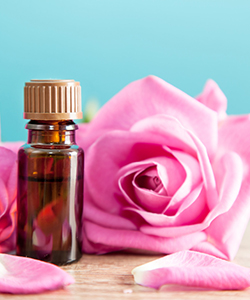 The 10 Most Popular Oils for Curly Hair