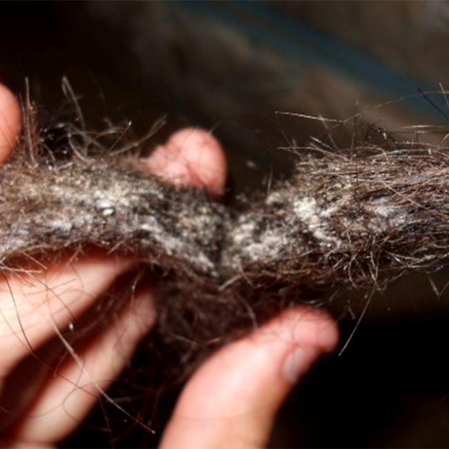 How to Avoid Mildew in Your Hair (and How to Remove It)