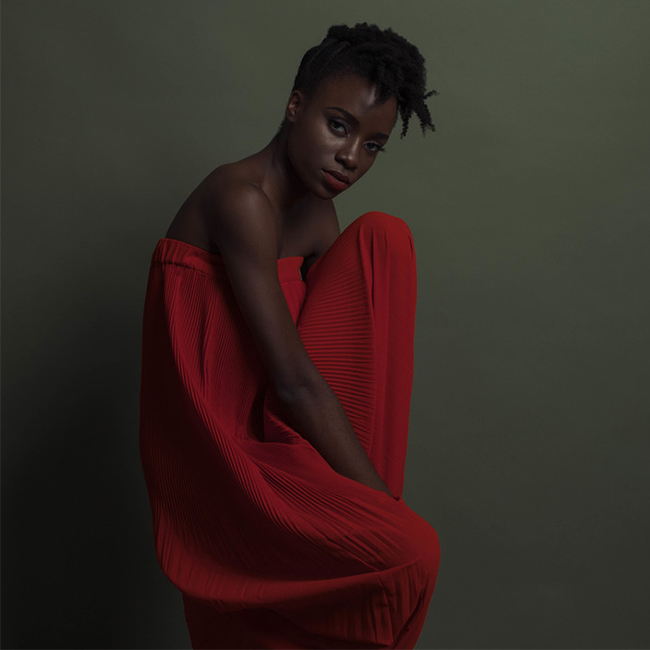 The Best Natural Oils for High Porosity Hair